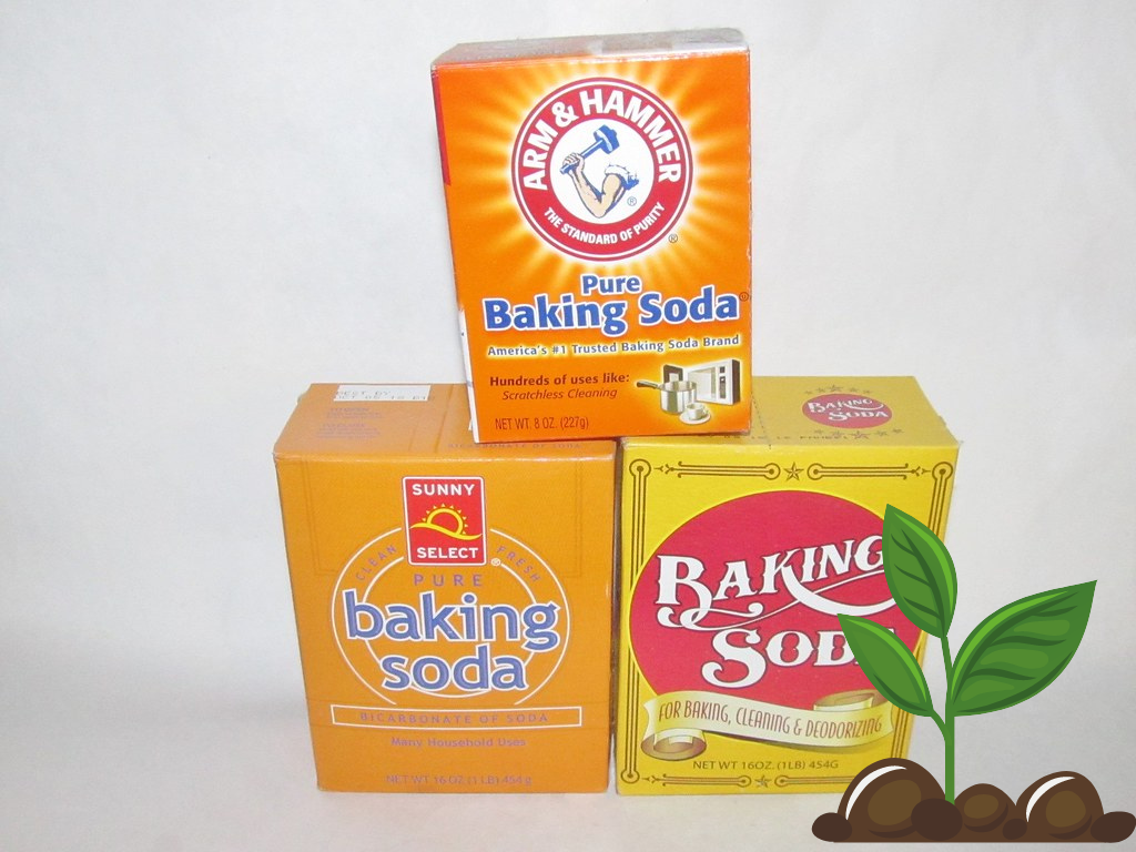 Is Baking Soda Good for Hydroponics