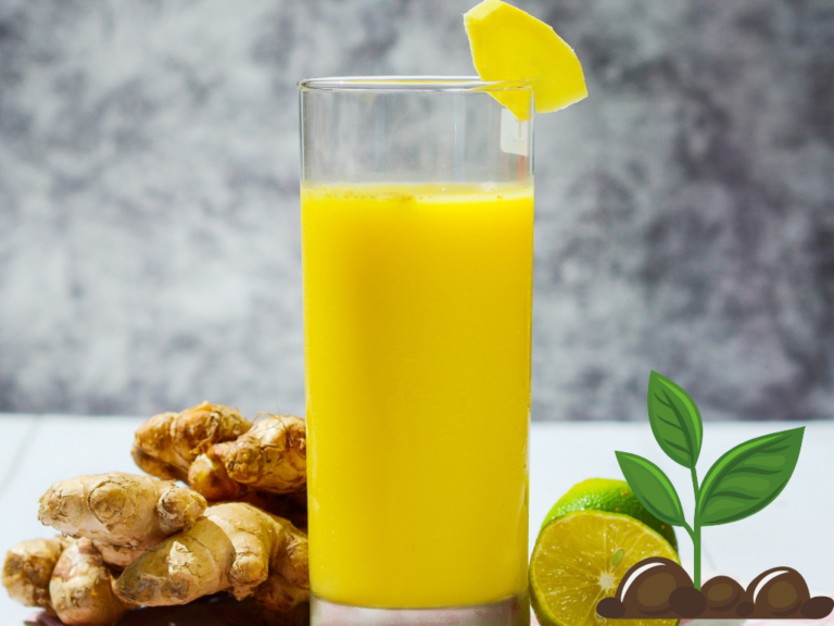 Is Ginger Juice Acidic or Alkaline: A Guide for Hydroponic Gardening