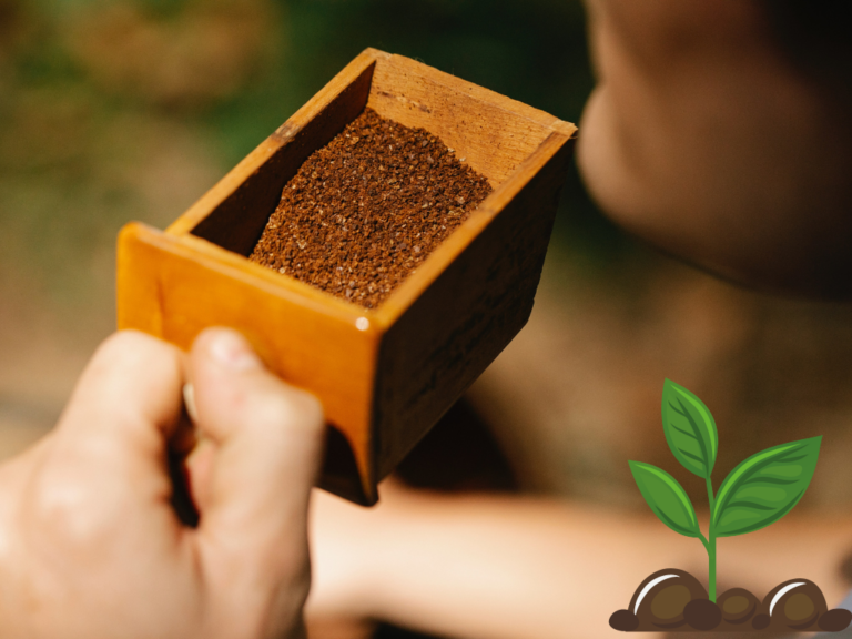 Can You Use Coffee Grounds as Fertilizer in Hydroponics